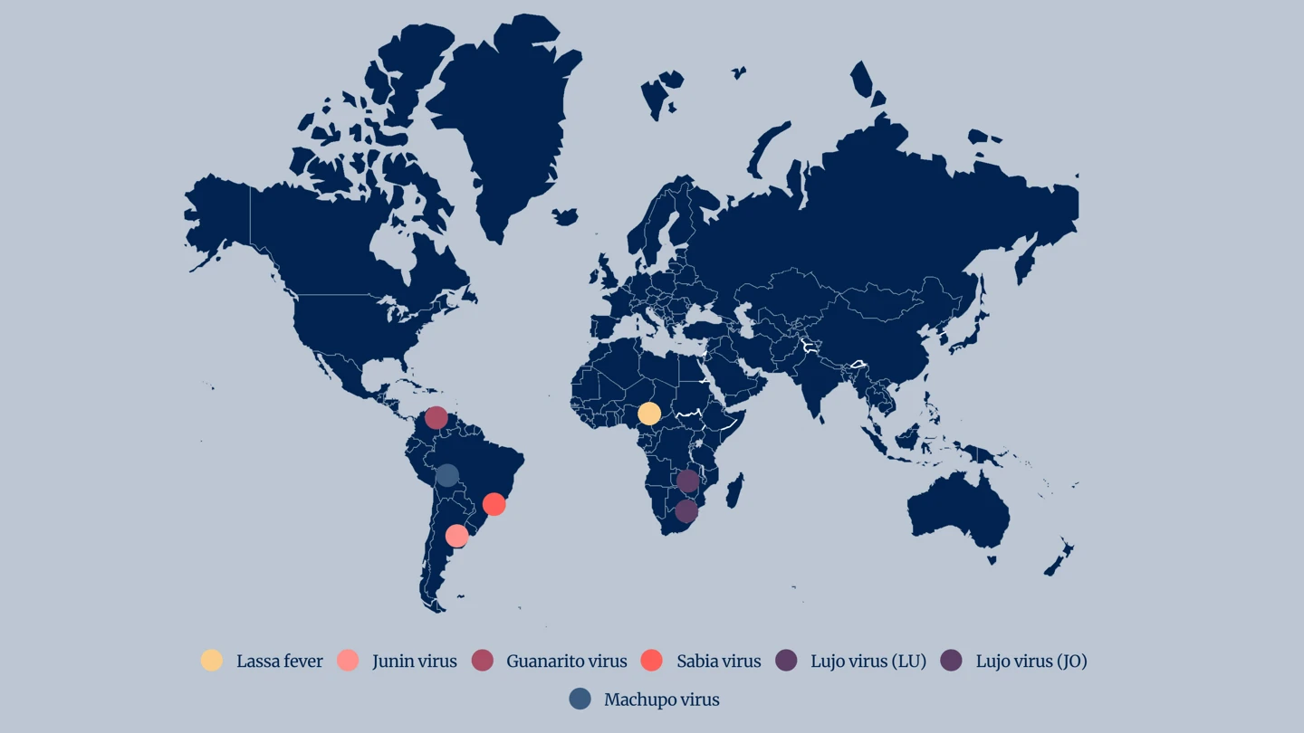 Arenaviruses initial sites